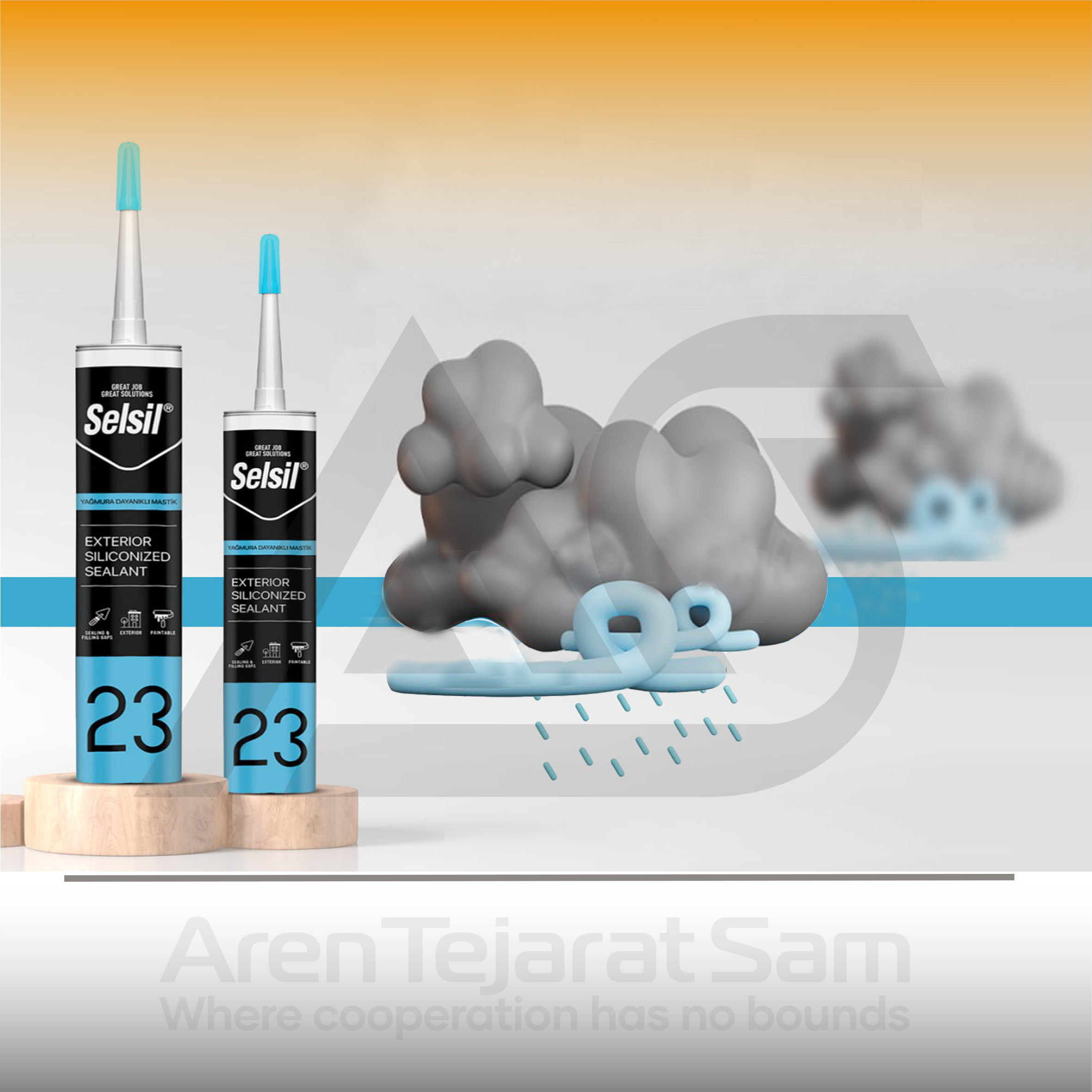 سیلیکون ماستیک سریع خشک سلسیل Selsil