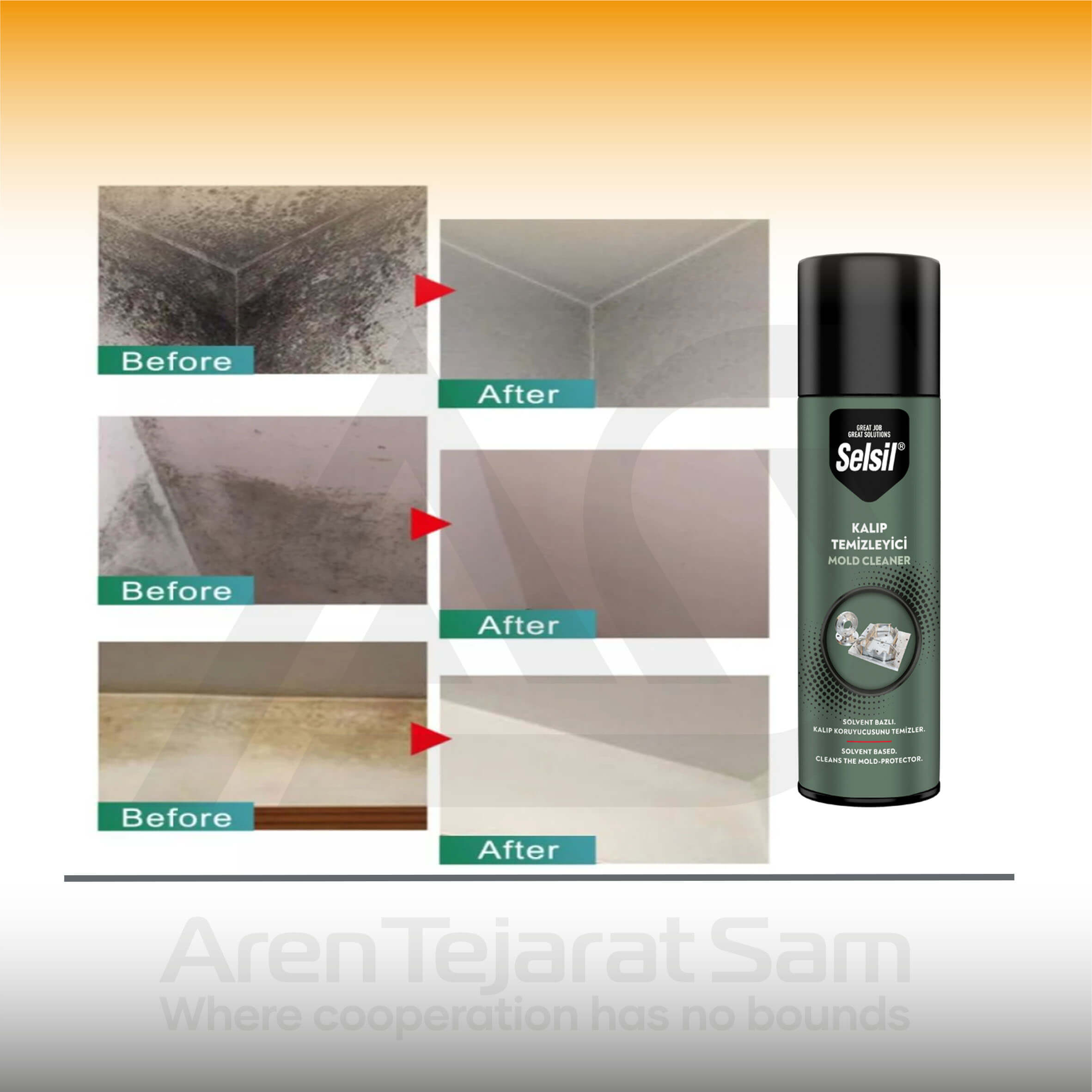 اسپری پاک کننده گل و لای selsil