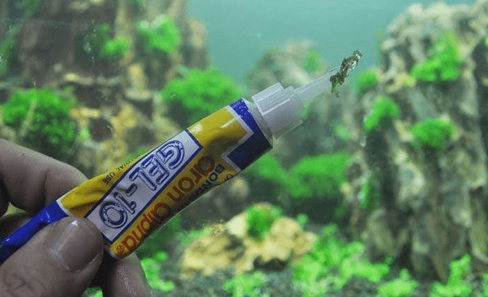 فرق چسب سیلیکون و چسب آکواریوم