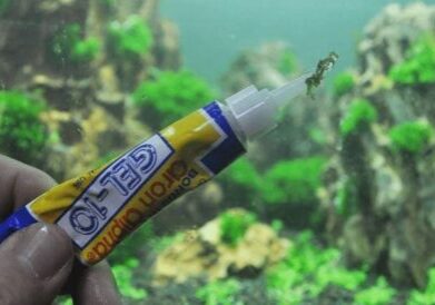 فرق چسب سیلیکون و چسب آکواریوم